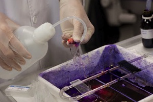 El Aula de Bioindicación y Control de Proceso en EDAR lanza nueva modalidad de Cursos ON-LINE