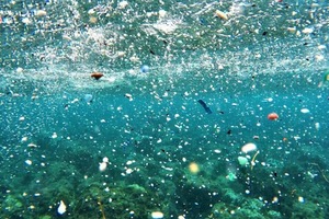 Un nuevo estudio destaca tecnologías inteligentes para abordar la contaminación por micro-plásticos en el agua