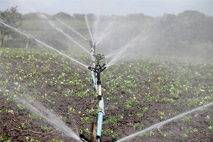 Desarrollan una nueva t&eacute;cnica que reduce los costes energ&eacute;ticos al optimizar la programaci&oacute;n del riego en tiempo real