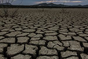 ACCIONA patrocina el 9º Concurso Nacional de Fotografía con motivo del Día Mundial de los Humedales