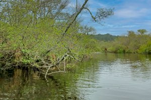 El Foro de la Economía del Agua reivindica promover las alianzas y colocar el agua en el centro para garantizar el derecho al futuro