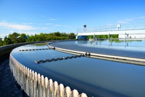 Coagulantes de origen vegetal para el tratamiento de aguas residuales