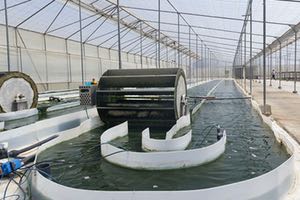 Depuradoras de microalgas: ahorran energ&iacute;a, absorben CO2 y producen fertilizantes sostenibles