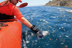 El 83% de los ríos analizados en España por Hombre y Territorio y LIBERA contienen microplásticos
