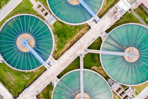 Valorizando el residuo del residuo