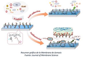 Investigadores desarrollan una novedosa membrana de ósmosis para reducir la bioincrustación