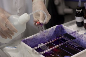 IV Jornada BIOPROEDAR "Introducción a las técnicas de Bioindicación y Control de Procesos en EDAR