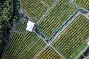 GOTHAM, hacia un cambio de paradigma en la gesti&oacute;n de las aguas subterr&aacute;neas en el Mediterr&aacute;neo