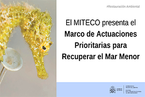Teresa Ribera anuncia una inversión de 382 M€ para proyectos de regeneración ambiental en el entorno del Mar Menor