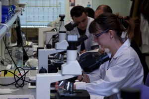 Firman un acuerdo de colaboración para la formación entre ABGC y el Colegio de Ambientólogos de Andalucía