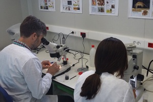IPROMA amplía instalaciones con un laboratorio de ecología acuática