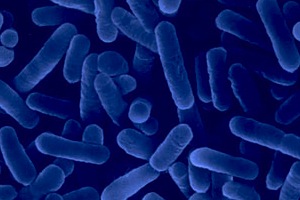IPROMA presenta un sistema innovador de purificaci&oacute;n de muestras para la detecci&oacute;n de la Legionella