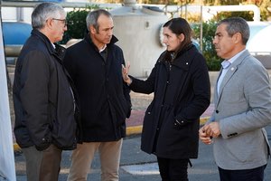 El ayuntamiento de Valencia distribuirá cajas de cartón entre los ciudadanos para luchar contra el "monstruo de las toallitas"