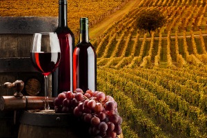 La próxima semana AEMA organiza en la ciudad de Almendralejo una Jornada sobre la "Depuración de las aguas residuales en bodegas"