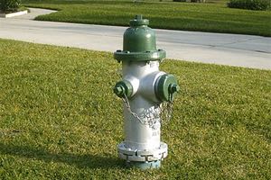 Bizkaia busca soluciones innovadoras para optimizar la gesti&oacute;n del agua de bocas de riego e incendio