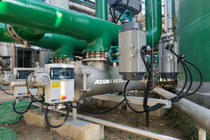 El impacto de las especies ex&oacute;ticas invasoras en centrales termoel&eacute;ctricas