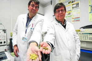 Investigadores espa&ntilde;oles desarrollan el uso de los lodos de potabilizadoras como sustituto del carb&oacute;n activo