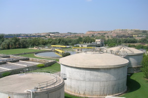 Carbon Disclosure Project (CDP) avala la estrategia ambiental de Aqualia con la  categor&iacute;a B