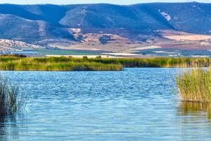 Cómo incentivar el riego con agua regenerada para dar un respiro a ríos y acuíferos