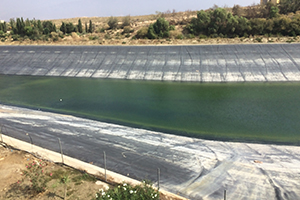 Agbar Agriculture, aliado estratégico para el riego con aguas regeneradas de casi 3.200 hectáreas en Almería