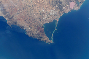 El IEO señala al vertido continuado de nutrientes agrícolas como principal causa de la mortandad masiva de fauna en el Mar Menor