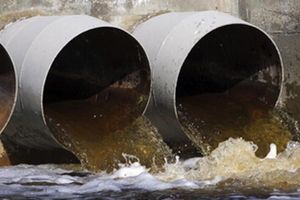 Preocupación en Argentina por la contaminación de las aguas con restos de Viagra