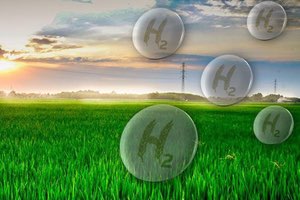 El Grupo DAM coordina un proyecto para producir biohidrógeno verde a partir de la paja de arroz de l´Albufera y lodos de las EDAR