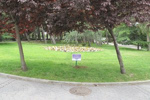 La Comunidad de Madrid ha ahorrado más de 200 h3 de agua desde que Canal la regenera en sus depuradoras