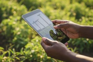 Inteligencia artificial y Big data: Angola encabeza la revolución agropecuaria que África necesita