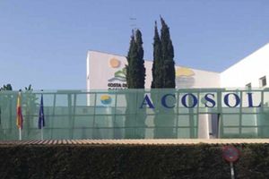 ACOSOL continúa con el plan de inversiones en Istán y Fuengirola para beneficiar a miles de vecinos de la Costa del Sol