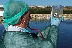 Juan José Salas "Vivencias de un Químico en el Hospital Universitario del Agua"
