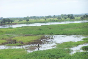 Incatema, adjudicataria de un contrato del Banco Mundial para fortalecer la resiliencia clim&aacute;tica en Tanzania