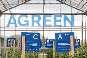 El proyecto Agreen muestra el valor del agua regenerada para la agricultura