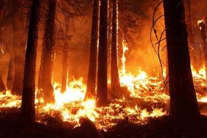 La lucha contra el fuego tiene en Saint-Gobain PAM un gran aliado