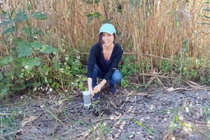 Humedales Artificiales: Trampas naturales para los microplásticos