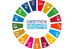 Un estudio de la Cátedra desarrolla una metodología para evaluar el cumplimiento de los ODS en la gestión de las redes urbanas de agua