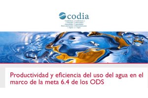 La CODIA organiza un taller presencial sobre "Productividad y eficiencia del uso del agua en el marco de la meta 6.4"