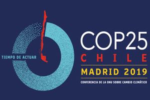 REMOSA y su apoyo al COP 25 en la lucha contra el cambio climático
