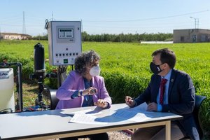 La Politécnica y Fundación Estrella de Levante investigan la capacidad de la cebada como filtro verde para el Mar Menor