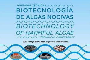 Expertos internacionales en algas nocivas se darán cita en las jornadas organizadas por el ITC en Gran Canaria