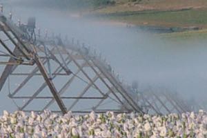 "Jornada sobre Sostenibilidad de las Aguas Subterráneas y la Directiva Marco del Agua" el 15 de noviembre en Madrid