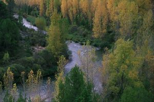 El MITECO invertirá 40 M€ en el seguimiento de las aguas continentales del Ebro, Guadalquivir y Tajo