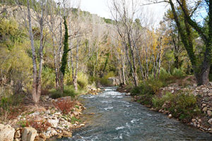 A consulta pública los Esquemas de Temas Importantes para el 4º ciclo de planificación hidrológica (2028-2033)