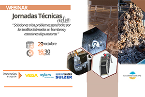 Jornadas Técnicas ON-LINE sobre "Soluciones a los problemas generados por las toallitas húmedas en bombeos y estaciones depuradoras"