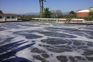 ACA impulsa el proyecto de saneamiento y depuraci&oacute;n de los municipios de Aldover y Xerta en Tarragona