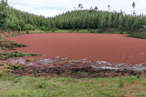 Una tesis del LEQUIA estudi&oacute; soluciones naturales para la gesti&oacute;n del agua en los Andes