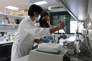 Diseñan un nuevo tipo de disolvente ecológico para purificar aguas contaminadas