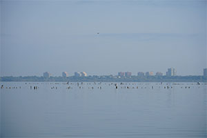 La CH del Júcar pone a disposición del Parque Natural de l’Albufera los excedentes hídricos del sistema Júcar