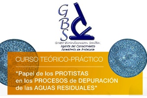 La Respirometría BM de Surcis, presente en el curso sobre "El Papel de los Protistas en los procesos de depuración de las aguas residuales"