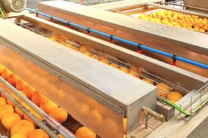 Reutilización de agua de lavado de cítricos, una solución de AZUD y SANIFRUIT